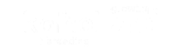 KP Holland